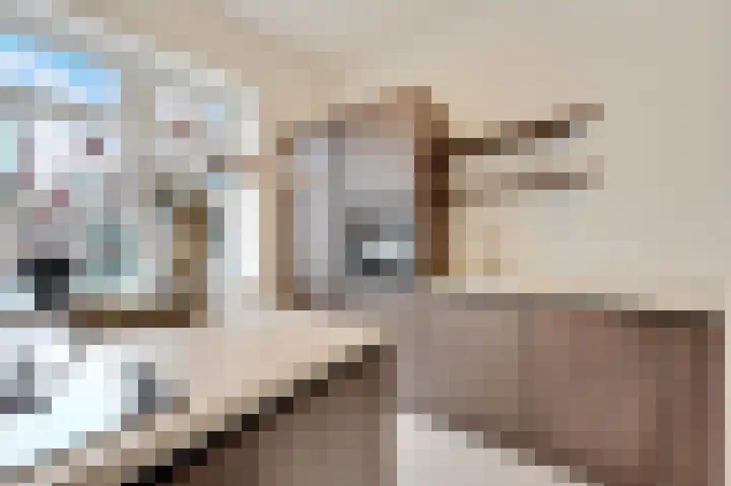 Stevinstraat 56 A Den Haag thumbnail 20