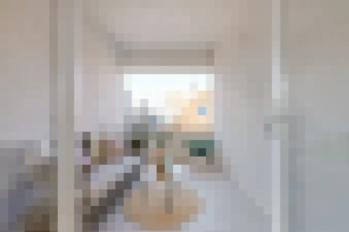 Stevinstraat 56 A Den Haag foto 3