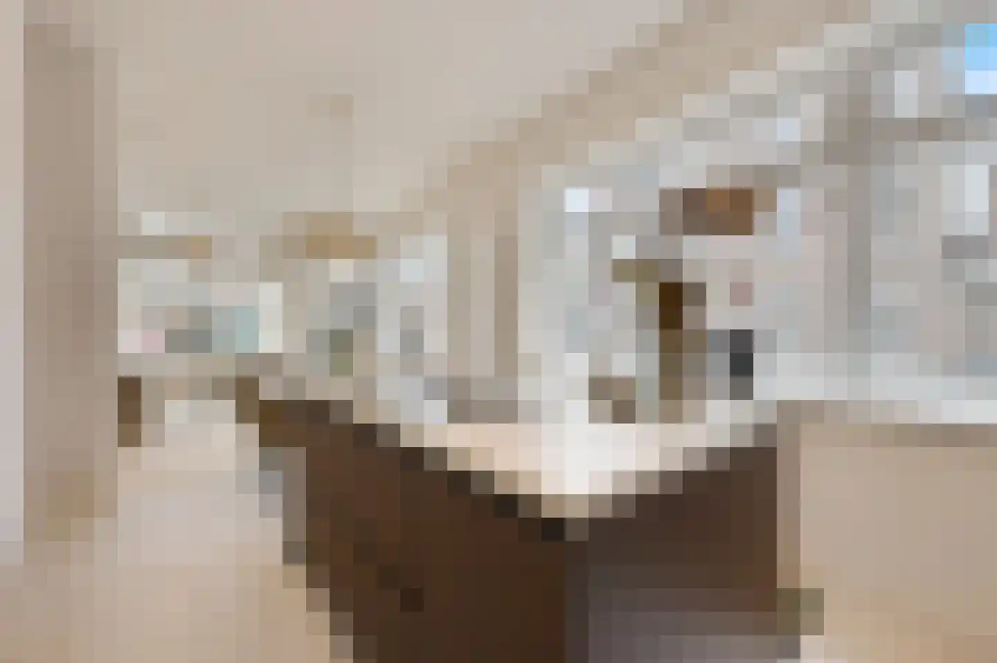 Stevinstraat 56 A Den Haag foto 3