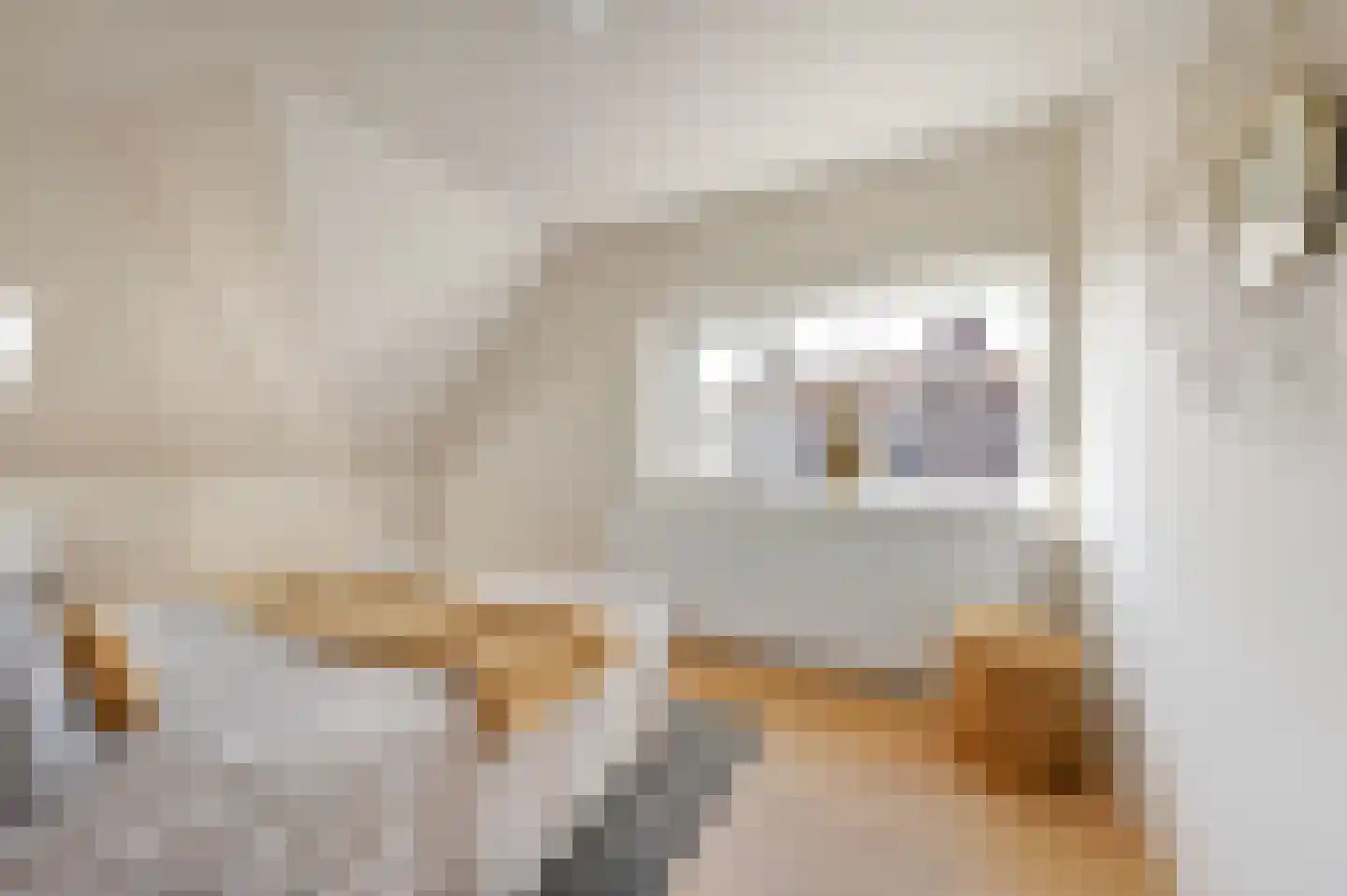 Stevinstraat 56 A Den Haag thumbnail 35