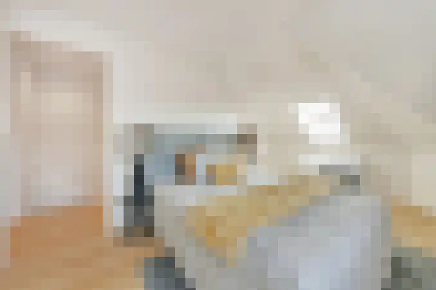 Stevinstraat 56 A Den Haag thumbnail 36