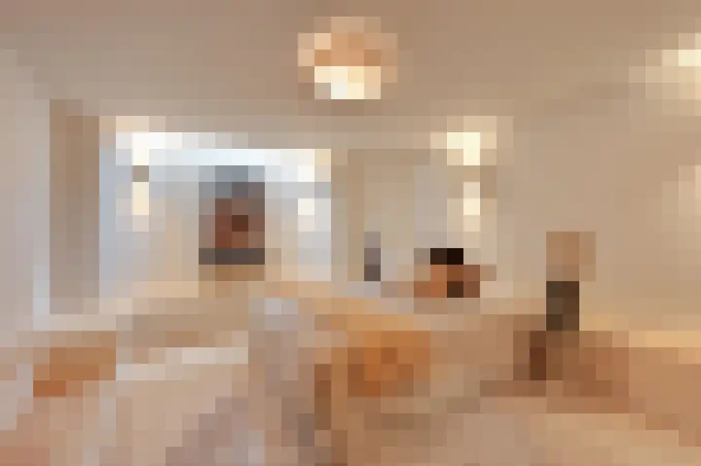 Stevinstraat 56 A Den Haag thumbnail 5