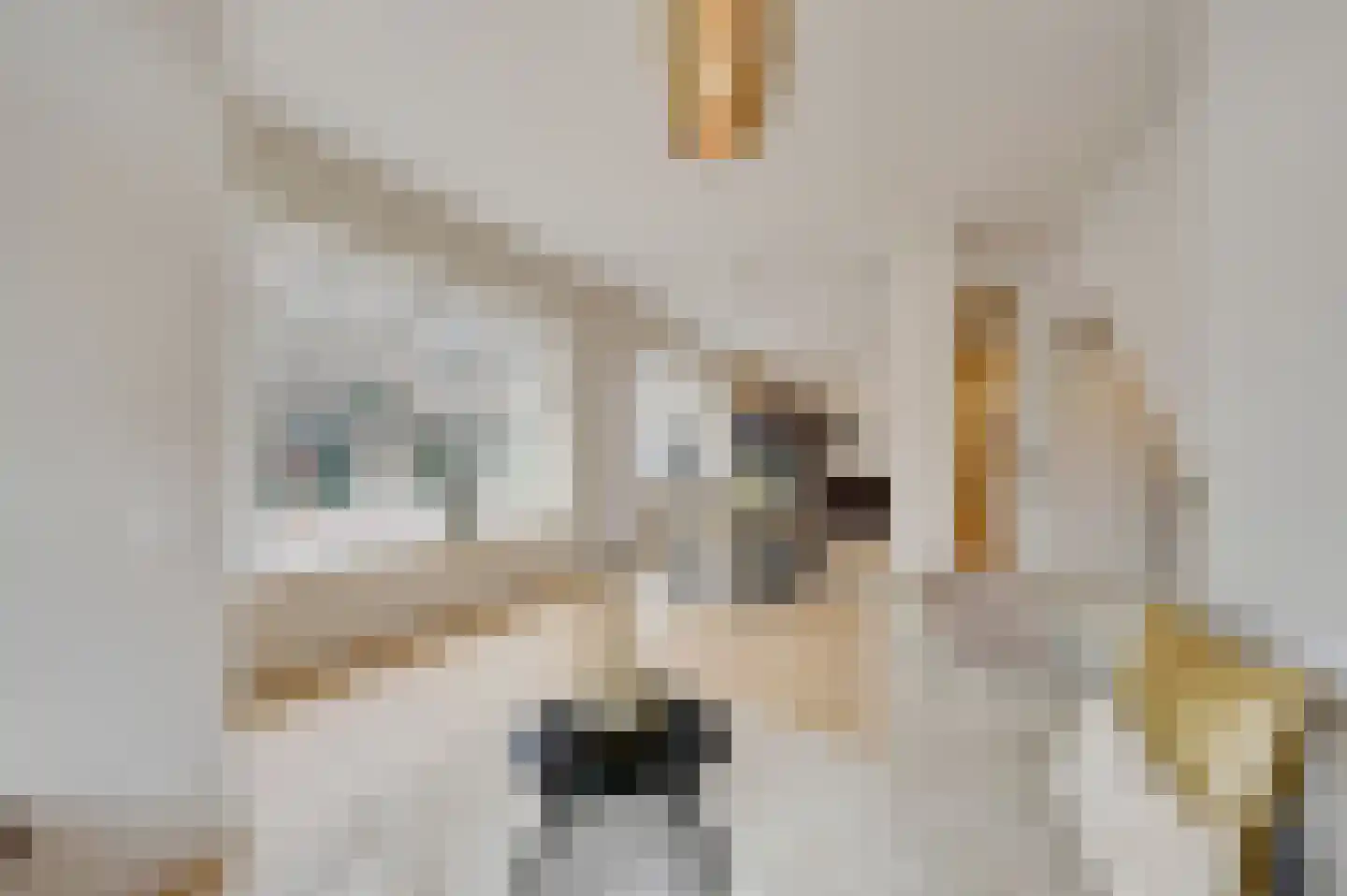 Stevinstraat 56 B Den Haag thumbnail 11