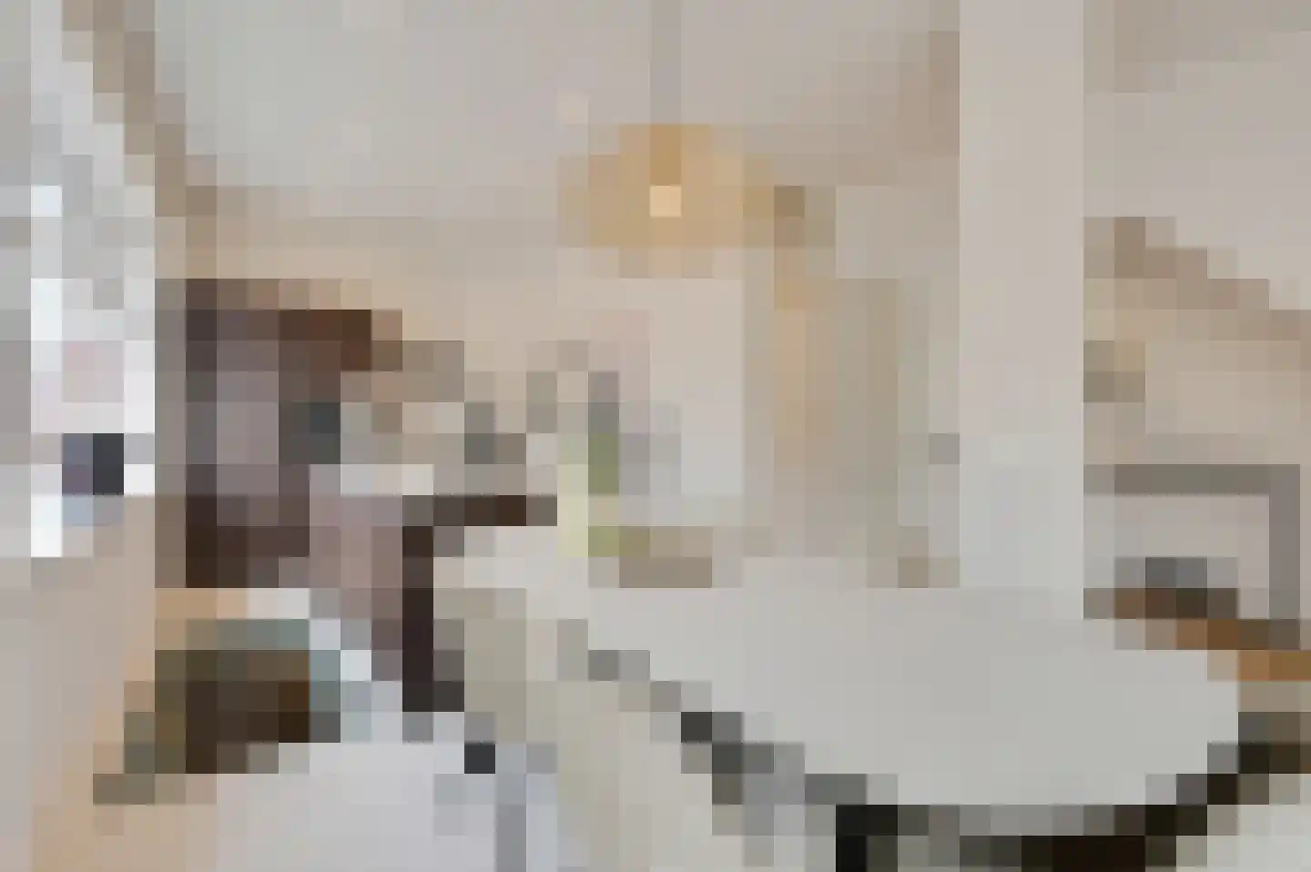 Stevinstraat 56 B Den Haag thumbnail 12