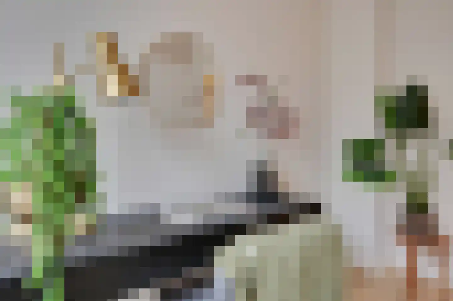 Stevinstraat 56 B Den Haag thumbnail 25