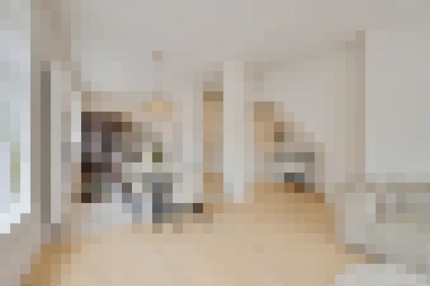 Stevinstraat 56 B Den Haag thumbnail 8