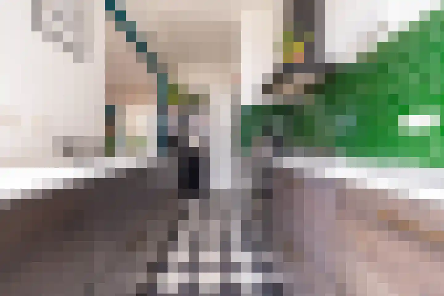 Stevinstraat 59 Den Haag thumbnail 14