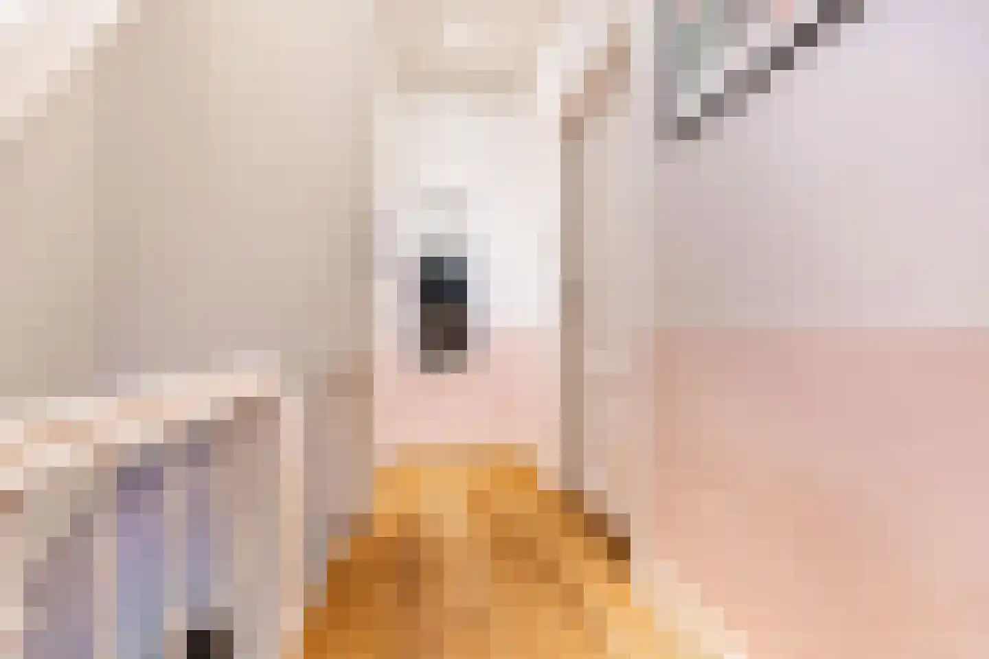 Stevinstraat 59 Den Haag thumbnail 15