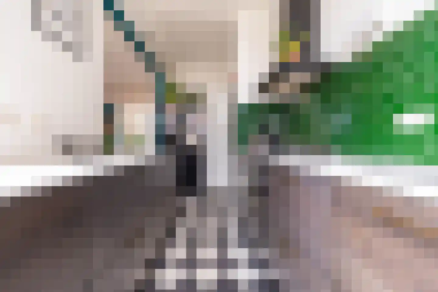 Stevinstraat 59 Den Haag thumbnail 15