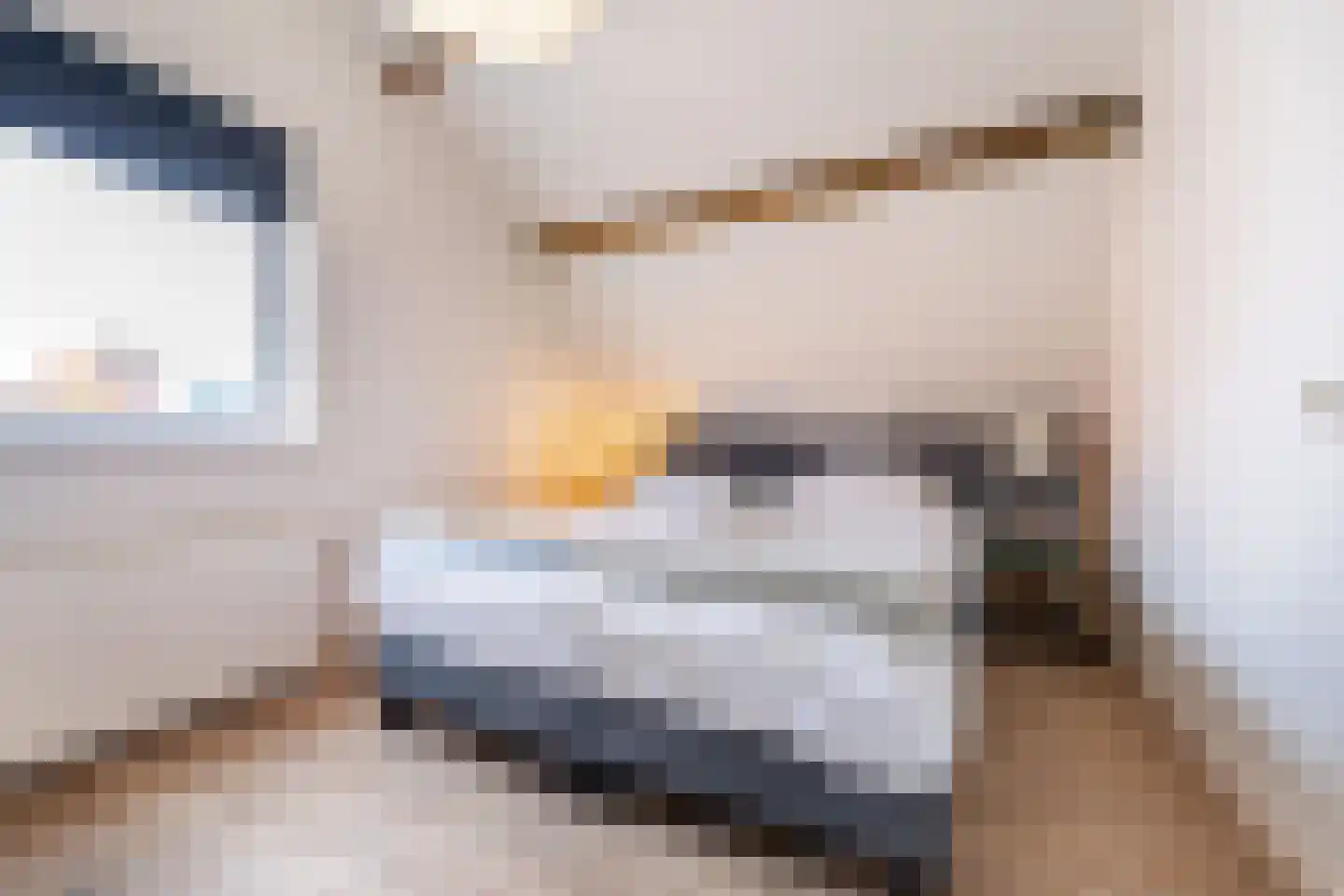 Stevinstraat 59 Den Haag thumbnail 18