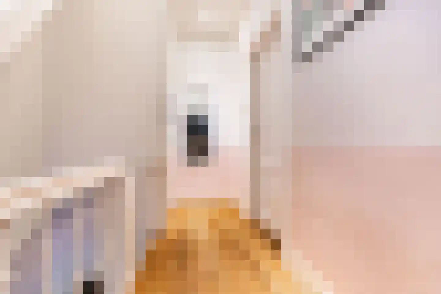 Stevinstraat 59 Den Haag foto 2