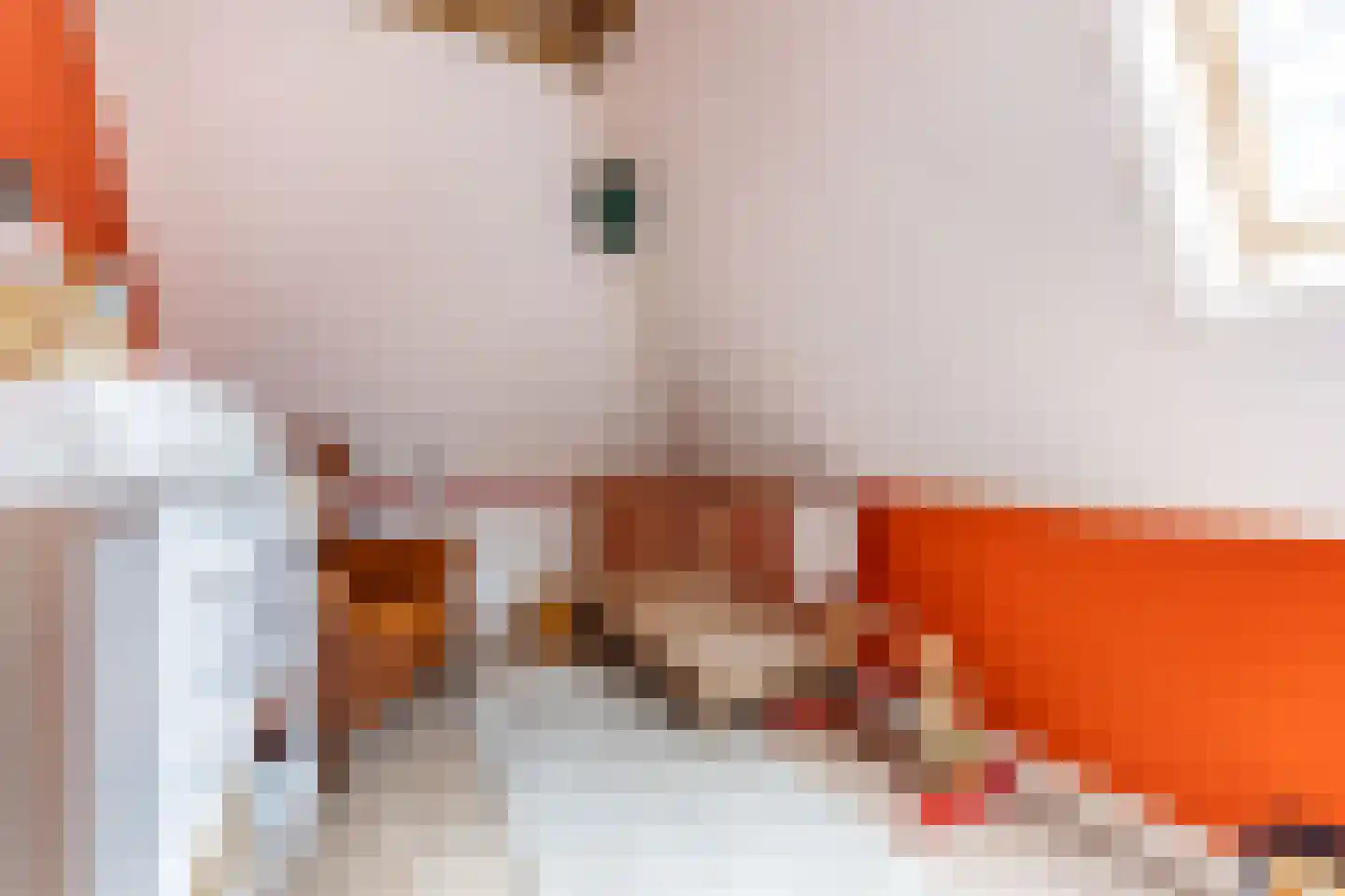 Stevinstraat 59 Den Haag thumbnail 23