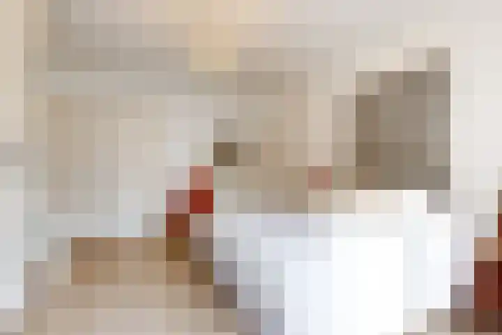 Stevinstraat 6 Alphen aan den Rijn thumbnail 13