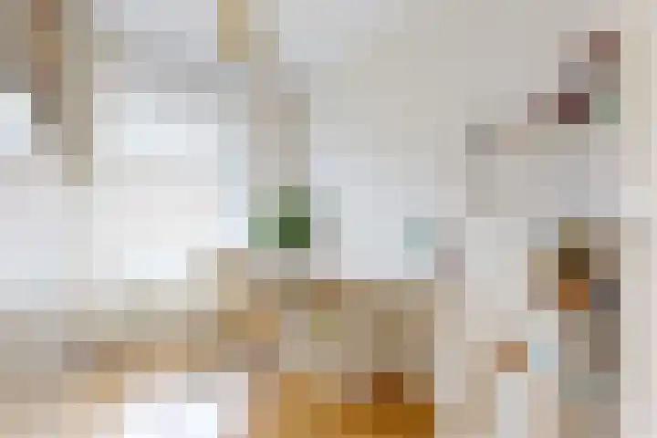 Stevinstraat 6 Alphen aan den Rijn thumbnail 16