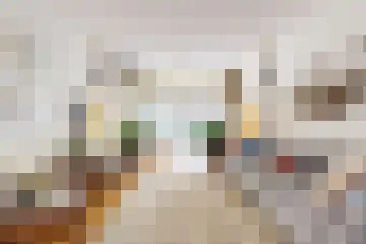 Stevinstraat 6 Alphen aan den Rijn foto 2