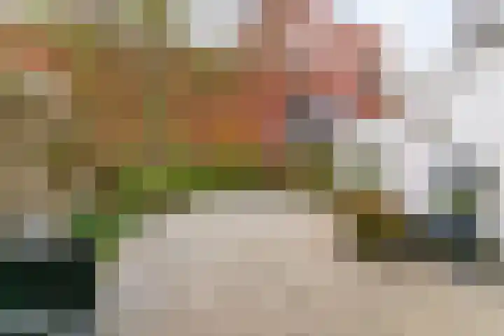 Stevinstraat 6 Alphen aan den Rijn thumbnail 22