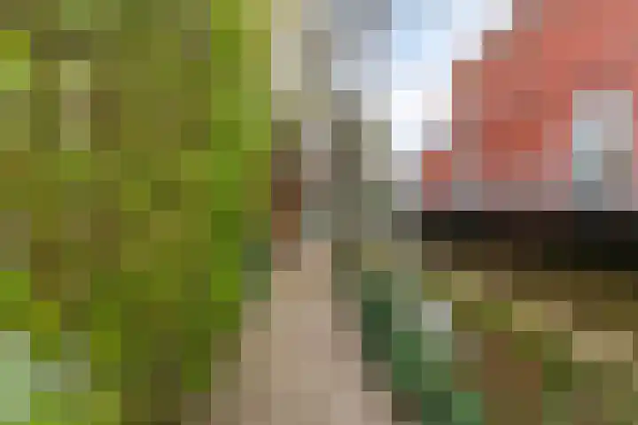 Stevinstraat 6 Alphen aan den Rijn thumbnail 24