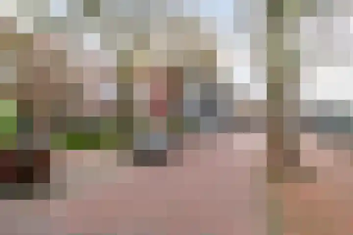 Stevinstraat 6 Alphen aan den Rijn thumbnail 26