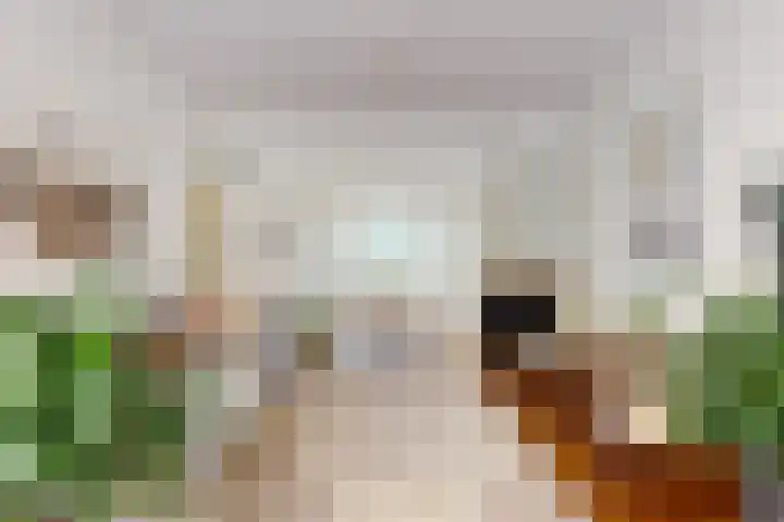 Stevinstraat 6 Alphen aan den Rijn thumbnail 6