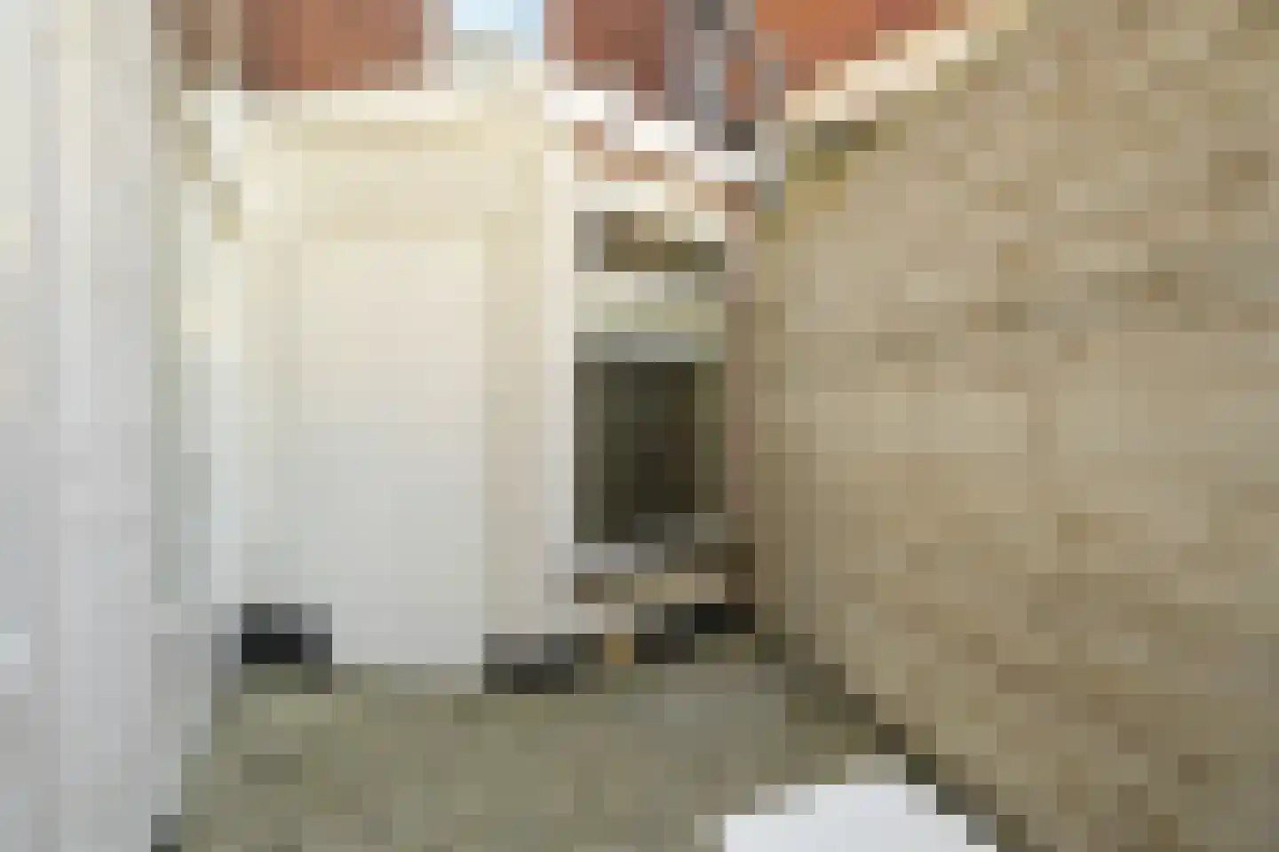 Stevinstraat 6 Den Haag thumbnail 22