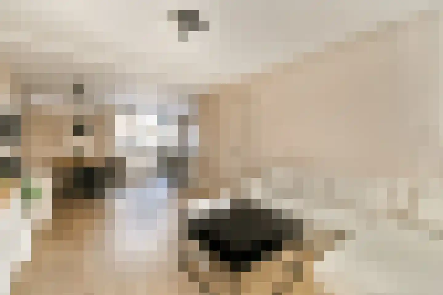 Stevinstraat 62 Badhoevedorp foto 2