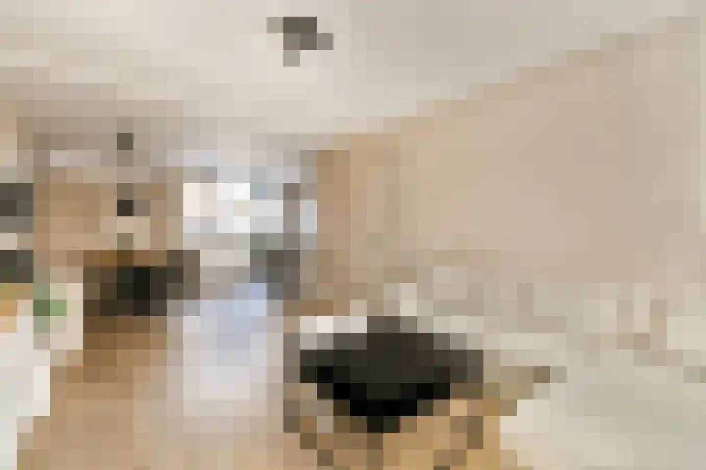 Stevinstraat 62 Badhoevedorp foto 2