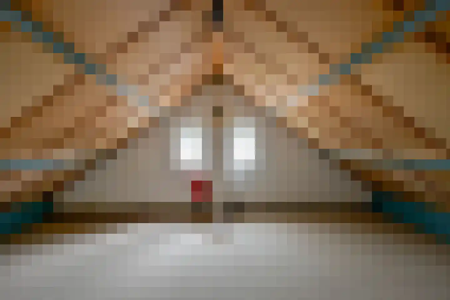 Stevinstraat 7 Middenmeer thumbnail 27