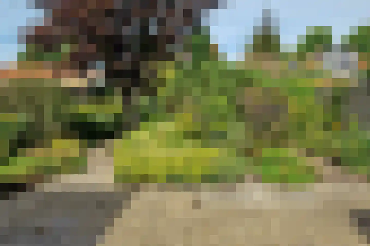Stevinstraat 7 Middenmeer thumbnail 4