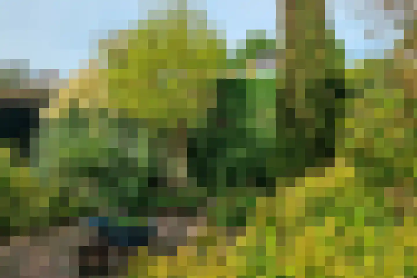 Stevinstraat 7 Middenmeer thumbnail 40