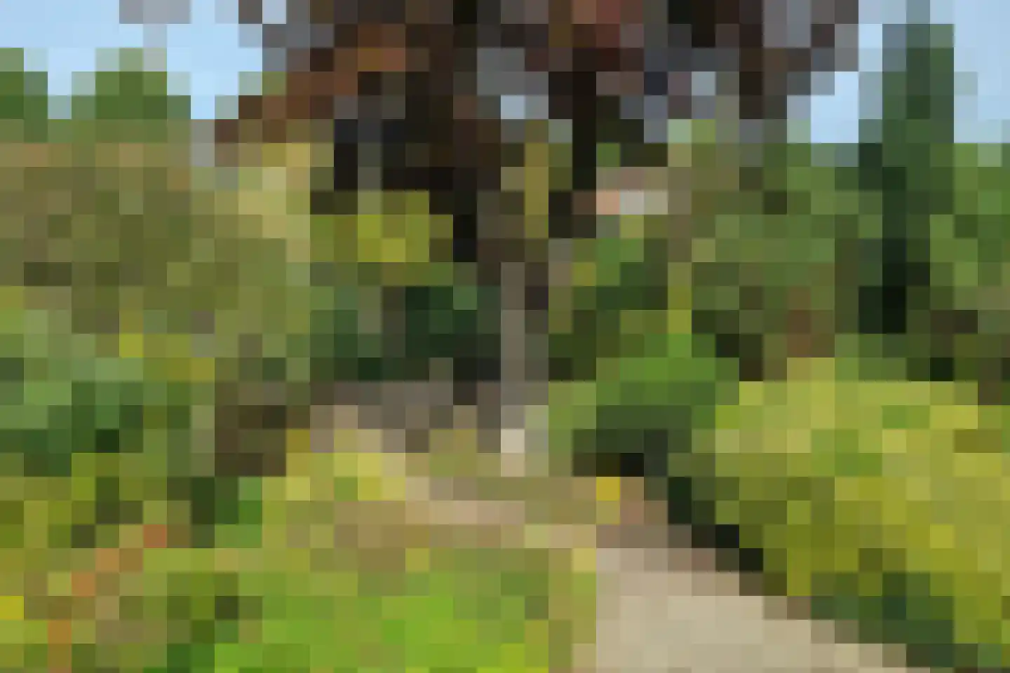 Stevinstraat 7 Middenmeer thumbnail 42