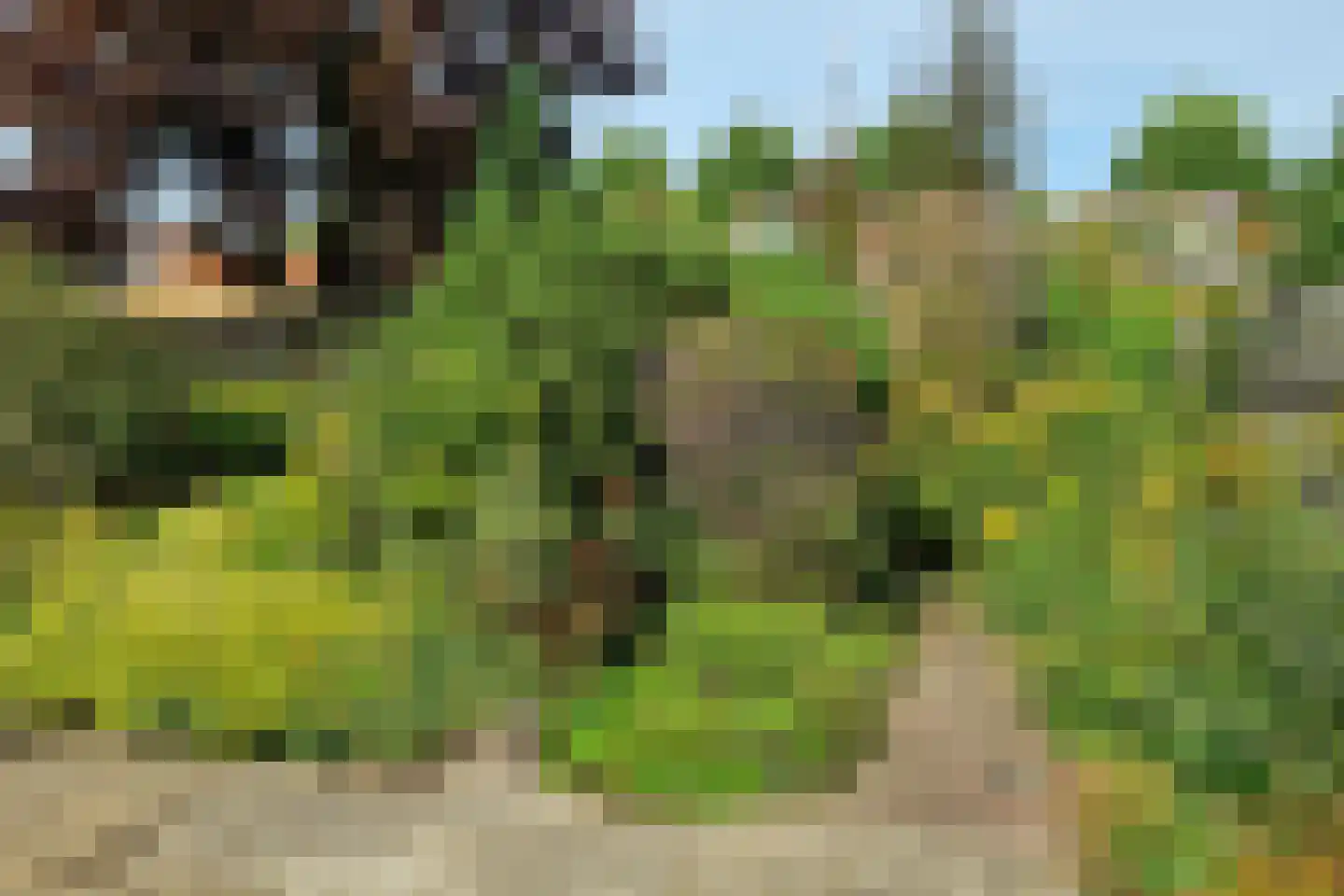Stevinstraat 7 Middenmeer thumbnail 43