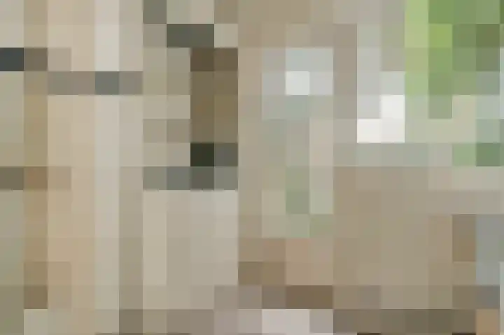 Stevinstraat 79 Den Haag thumbnail 22