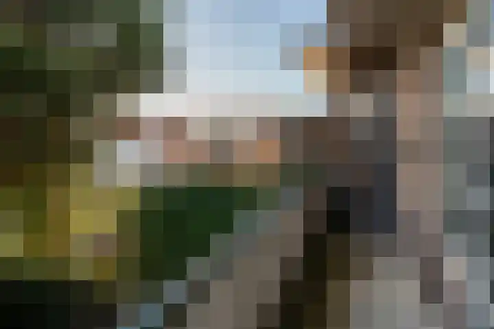 Stevinstraat 79 Den Haag thumbnail 32