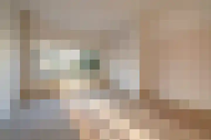 Stevinstraat 79 Den Haag thumbnail 8