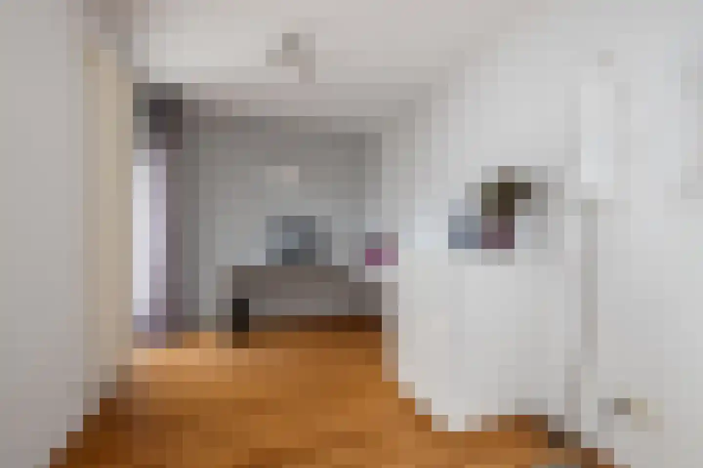 Stevinweg 21 Bergschenhoek thumbnail 10
