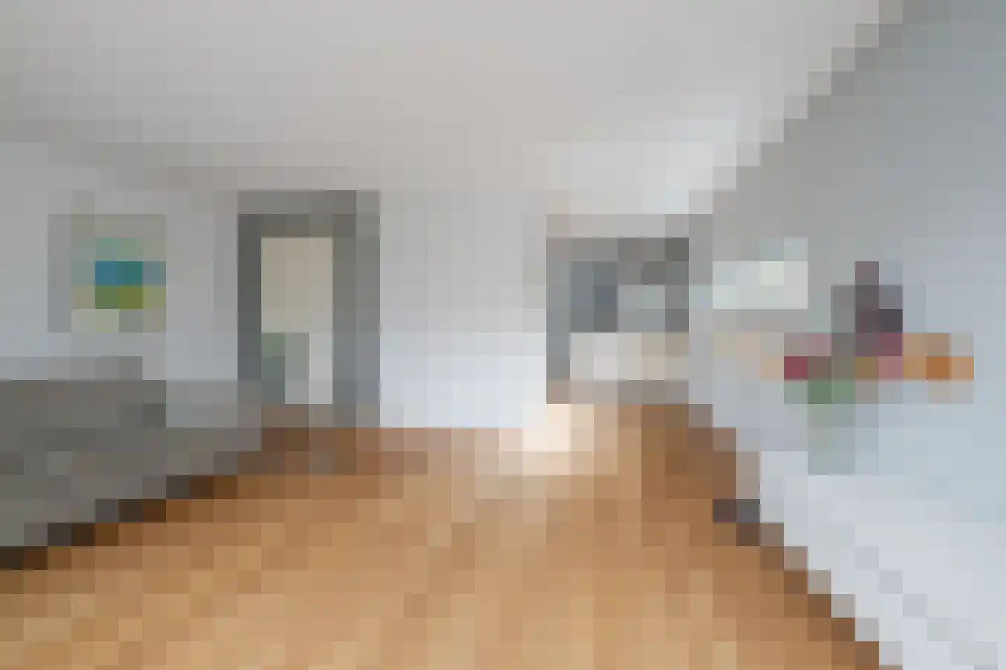 Stevinweg 21 Bergschenhoek thumbnail 4