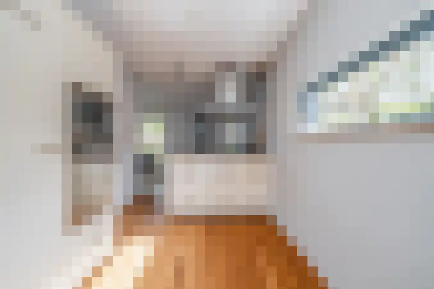 Stevinweg 21 Bergschenhoek thumbnail 5