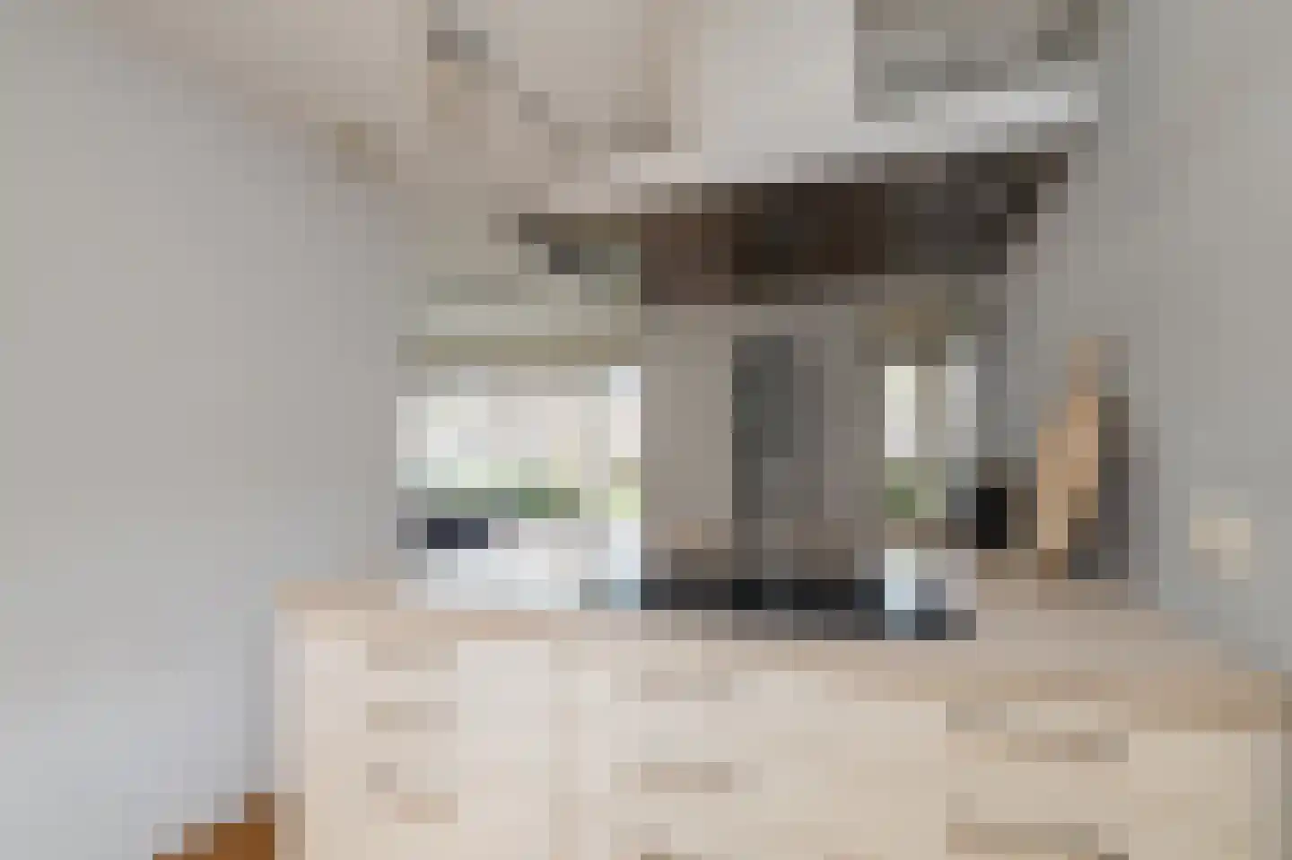 Stevinweg 21 Bergschenhoek thumbnail 6