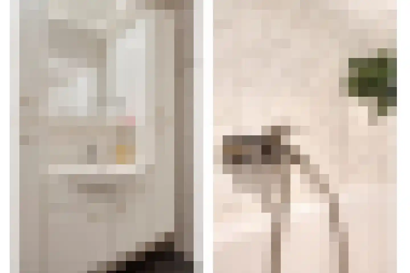 Steylerstraat 7 Tegelen thumbnail 10