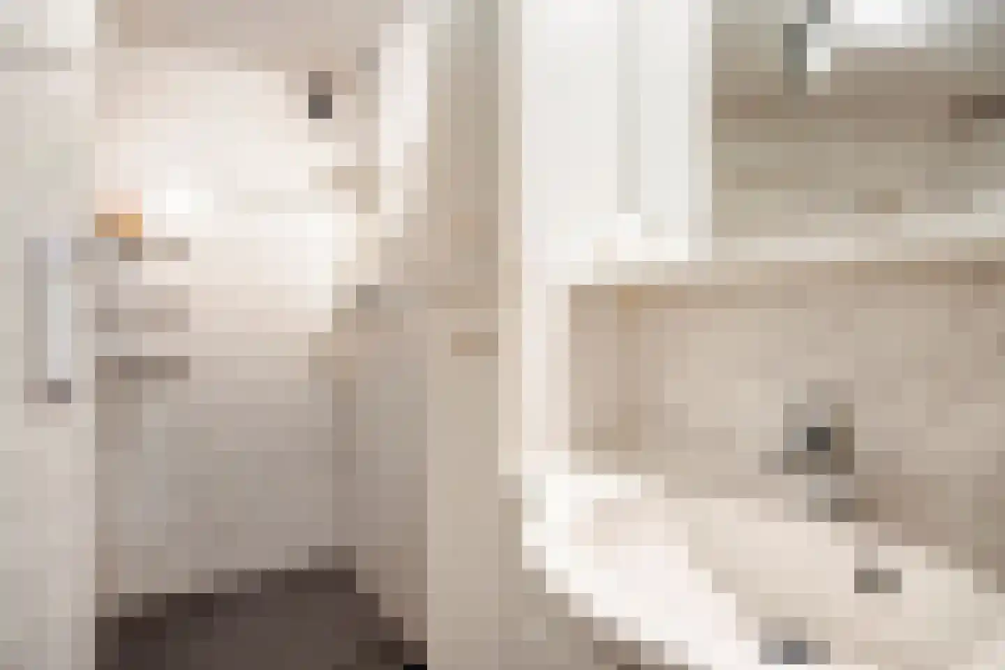 Steylerstraat 7 Tegelen thumbnail 11