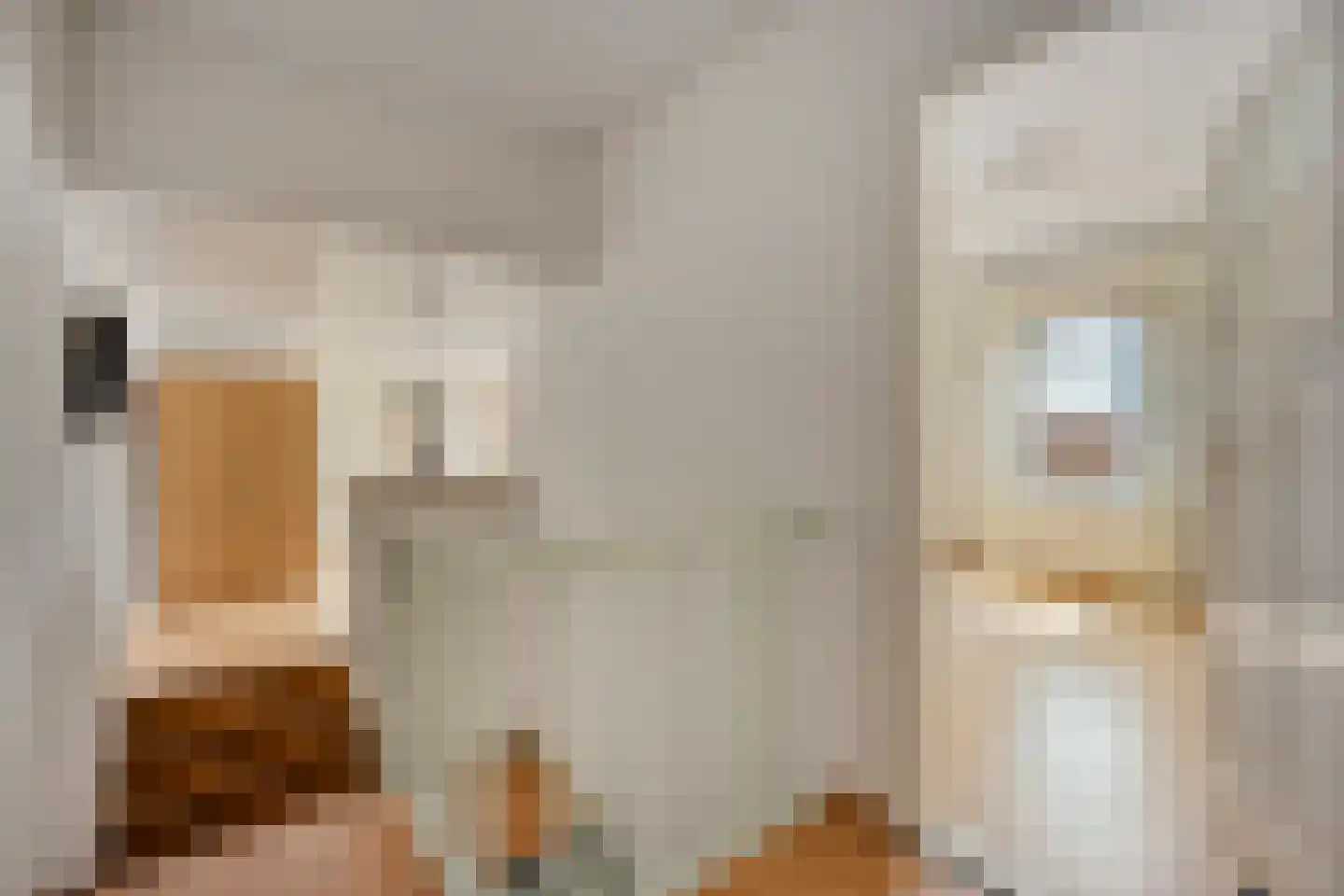 Steylerstraat 7 Tegelen thumbnail 15