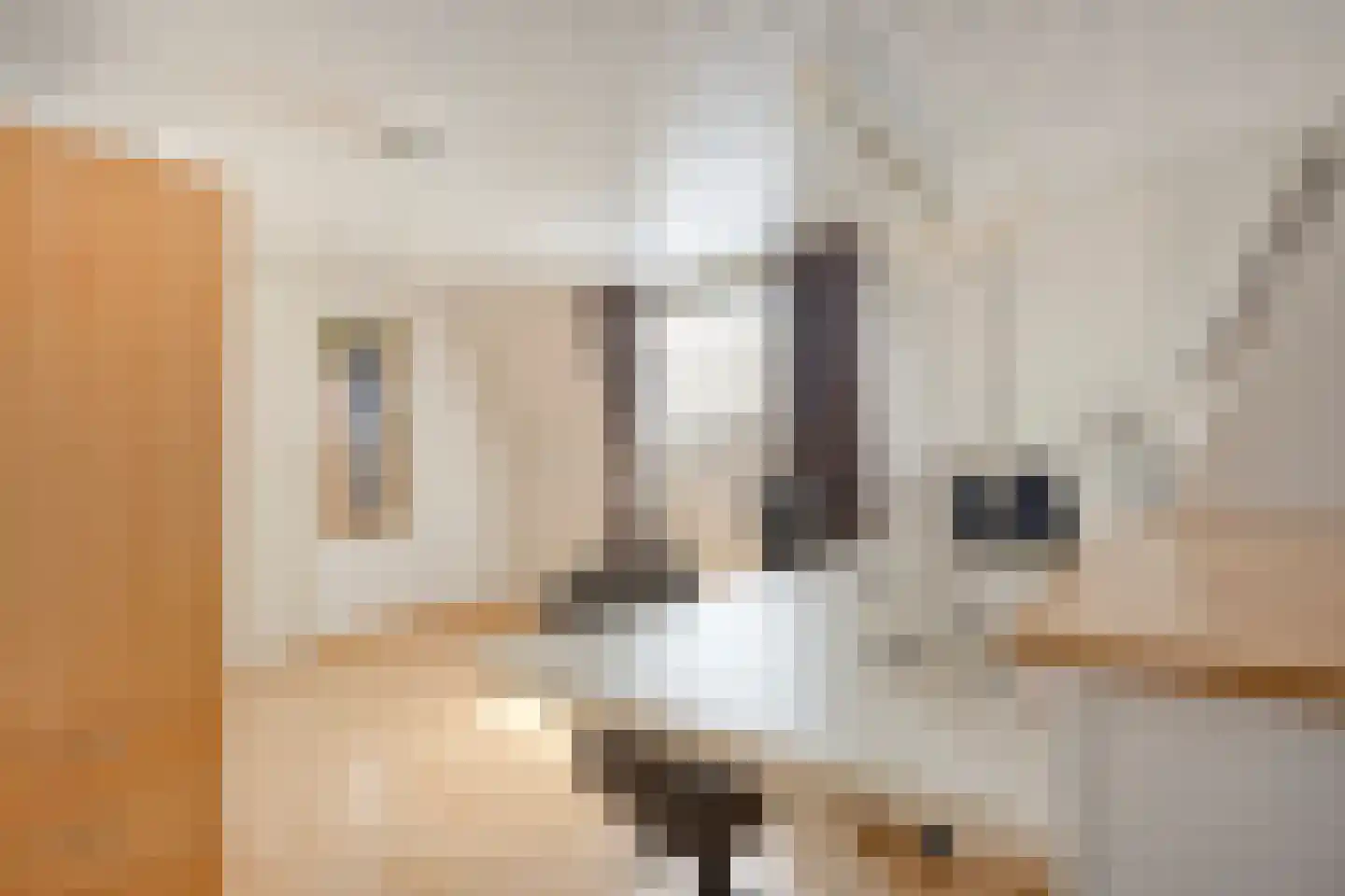 Steylerstraat 7 Tegelen thumbnail 21