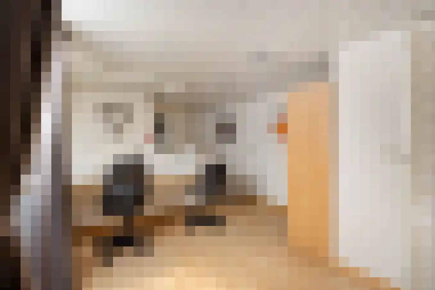Steylerstraat 7 Tegelen thumbnail 22