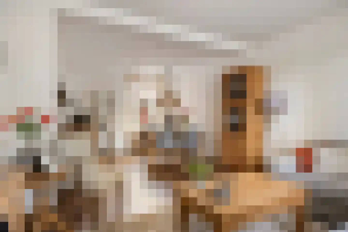 Steylerstraat 7 Tegelen thumbnail 4