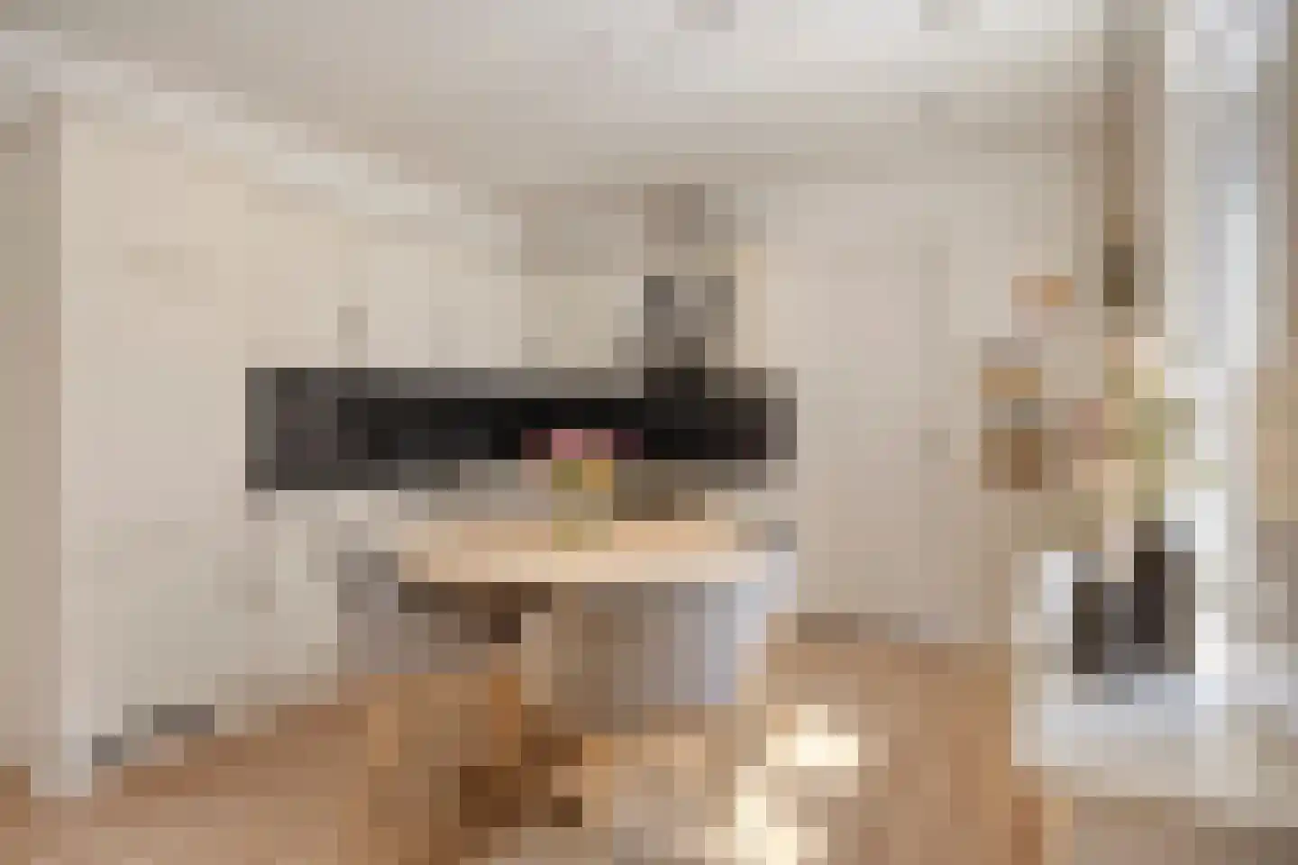 Steylerstraat 7 Tegelen thumbnail 5