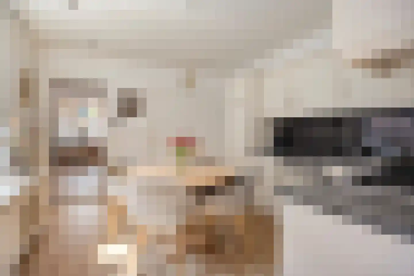Steylerstraat 7 Tegelen thumbnail 6