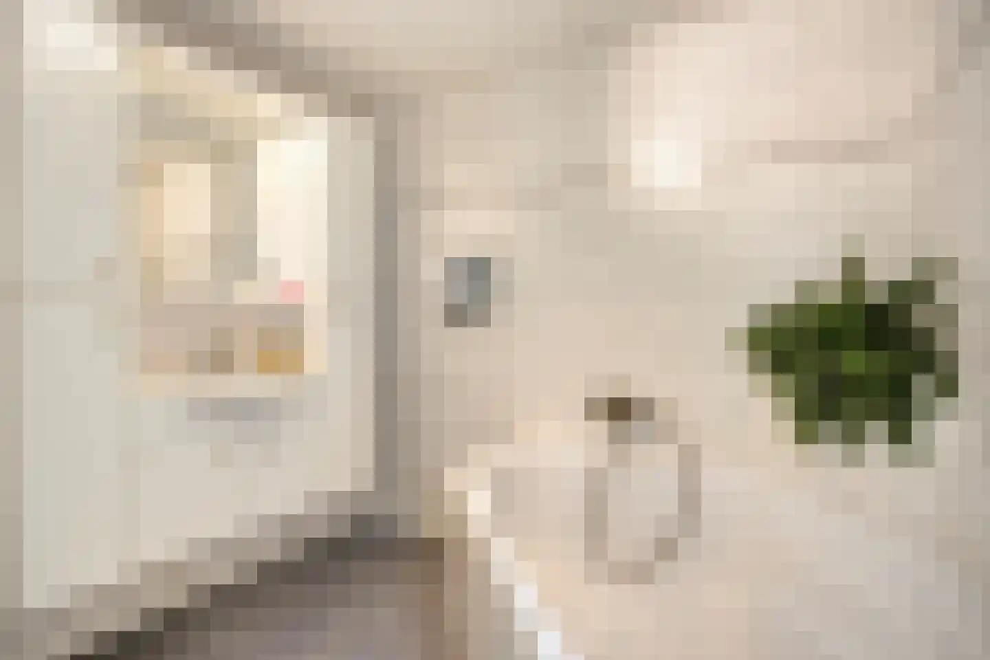 Steylerstraat 7 Tegelen thumbnail 9