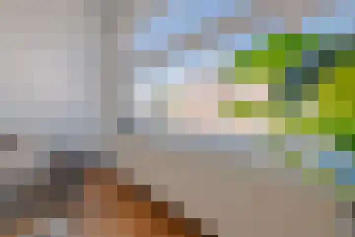 Steynlaan 101 Zeist thumbnail 6