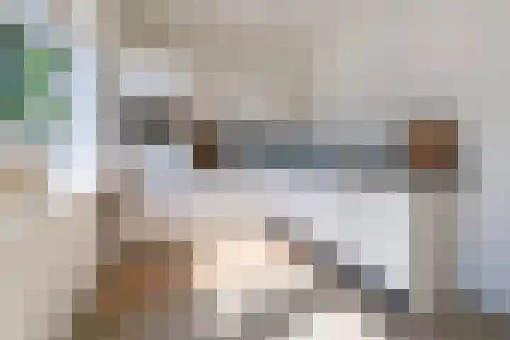 Steynlaan 101 Zeist thumbnail 9