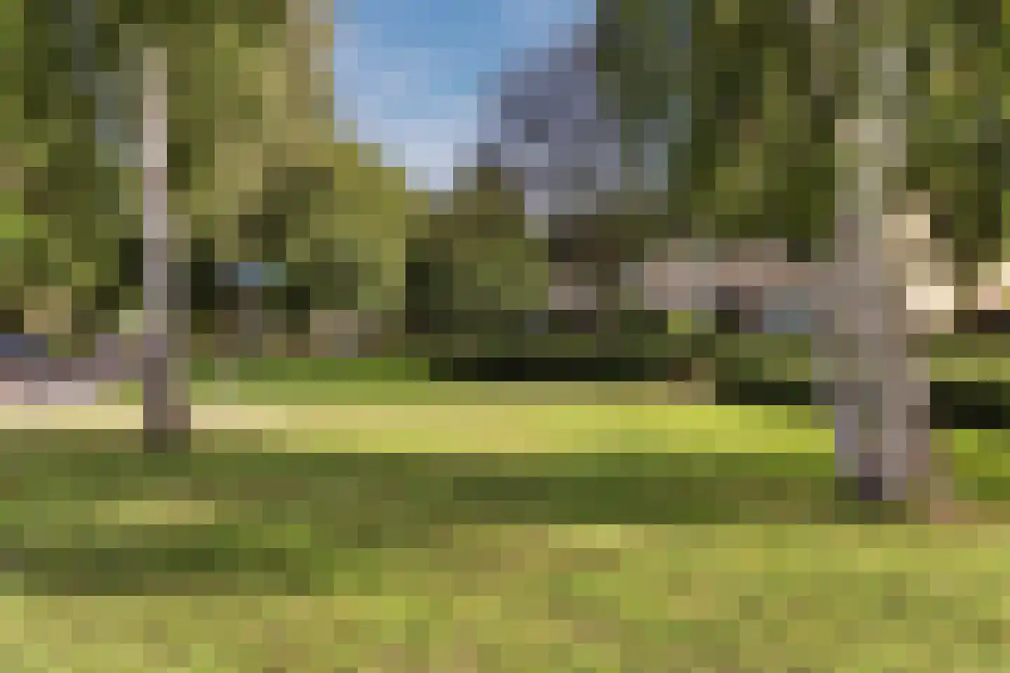 Steynlaan 116 Ermelo thumbnail 56